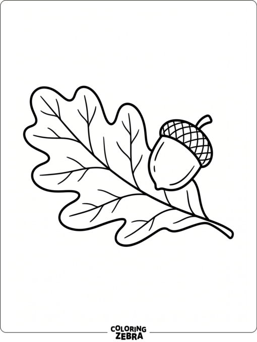 An acorn resting on an oak leaf