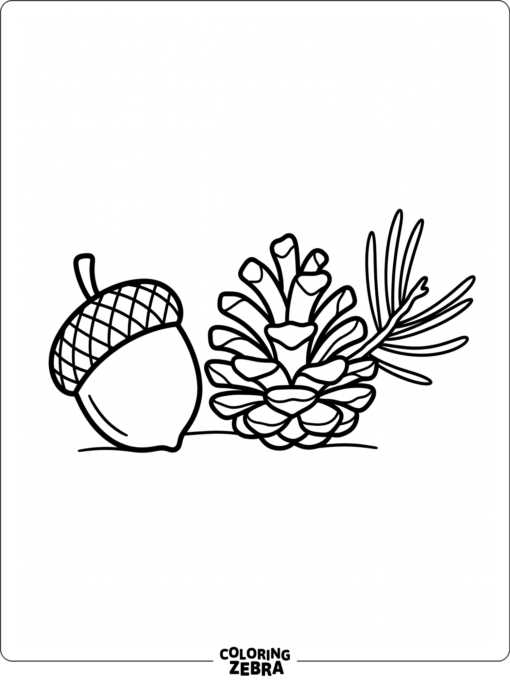 An acorn next to a pinecone