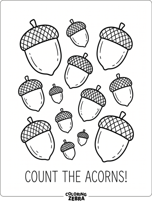 A group of acorns in different sizes