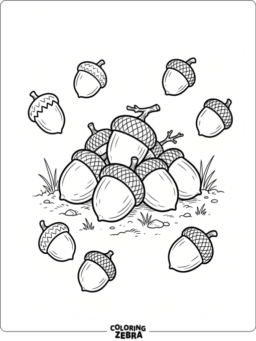 A small pile of acorns on the ground