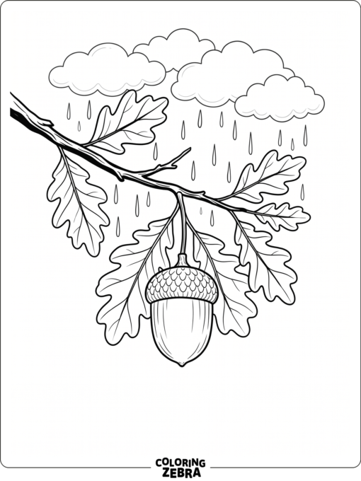 An acorn hanging under rainy clouds