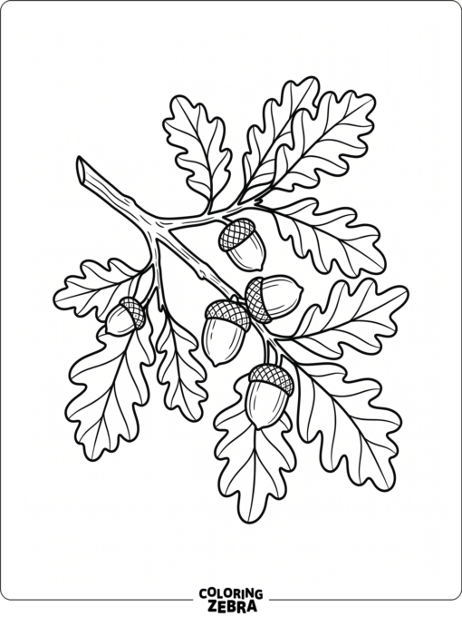 An oak branch with acorns and leaves