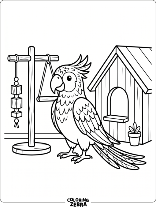 A game-style parrot beside a pet house
