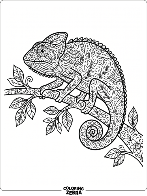An ornamental chameleon on a branch