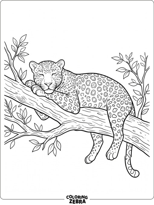 An adult leopard resting on a branch with a calm expression