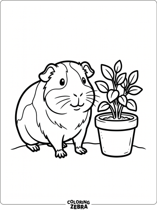 An adult guinea pig standing beside a plant pot