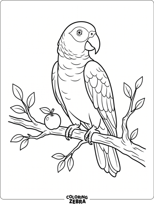 An African grey parrot perched on a branch