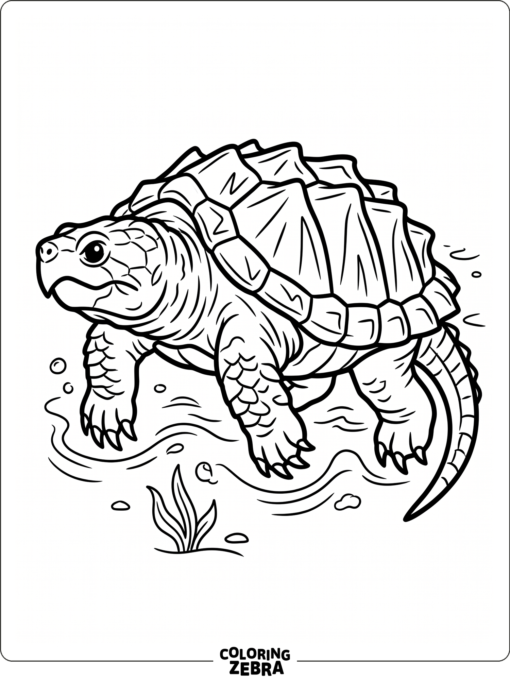An alligator snapping turtle with a rough shell and strong jaw
