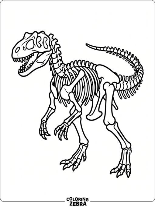 An allosaurus skeleton with ribs and tail bones
