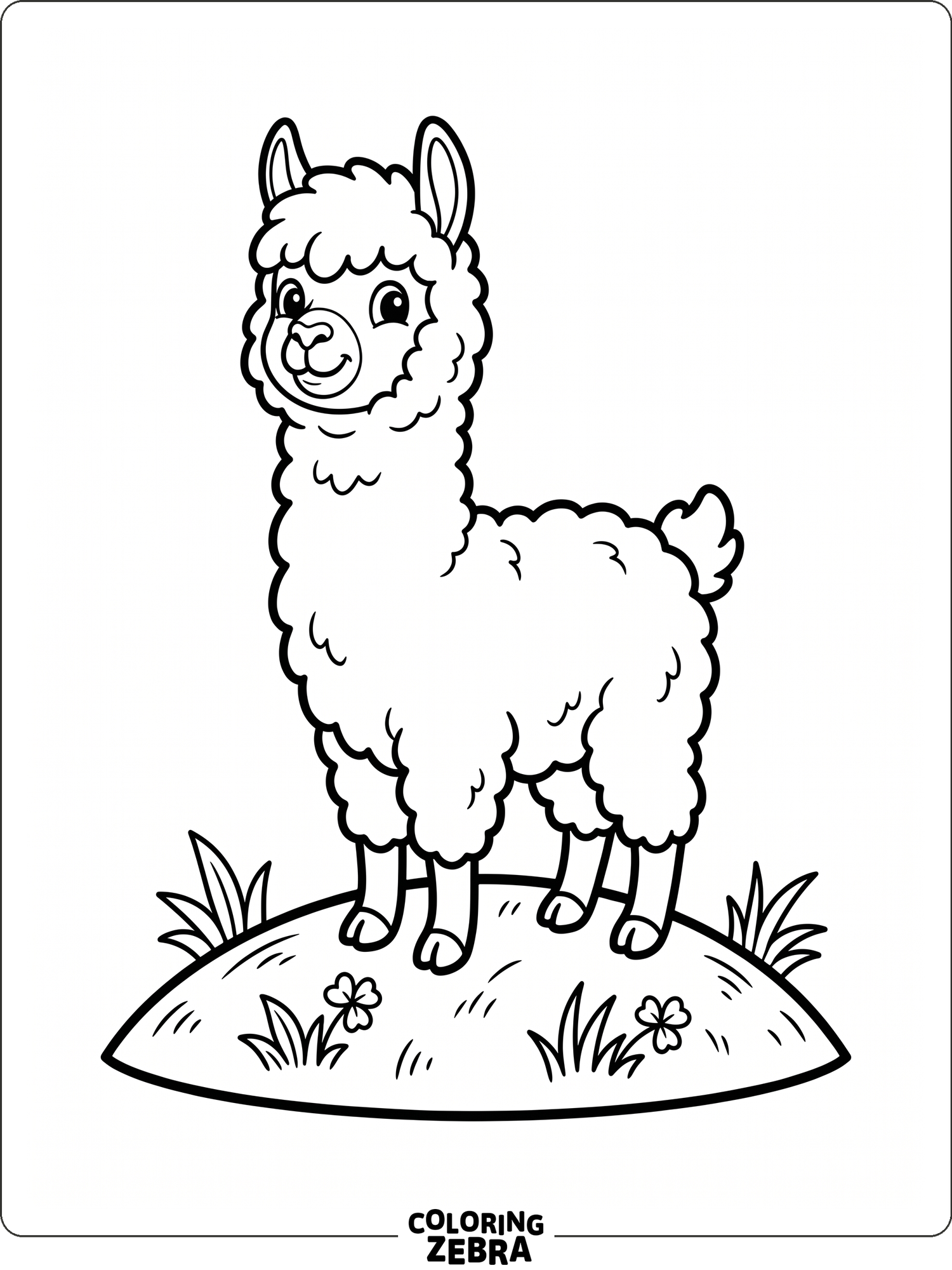 A calm alpaca standing on a small hill