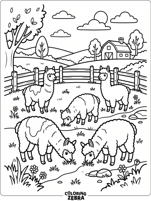 A small herd of alpacas grazing in a fenced field