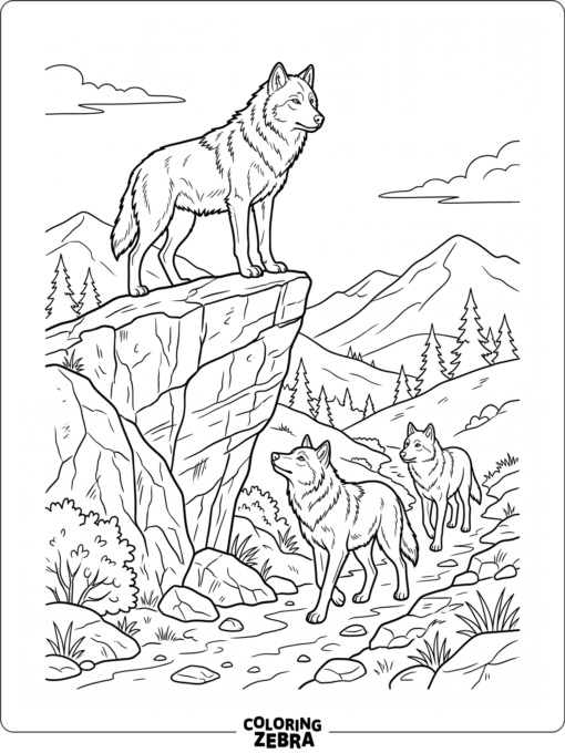 A leader wolf standing on a rock with two wolves below
