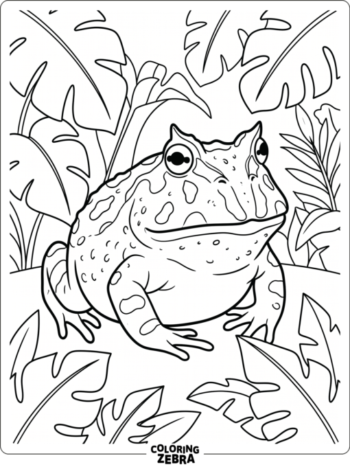 An Amazon horned frog among jungle leaves
