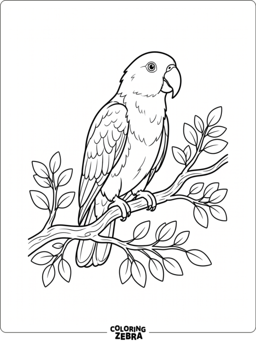 An Eclectus parrot perched on a branch