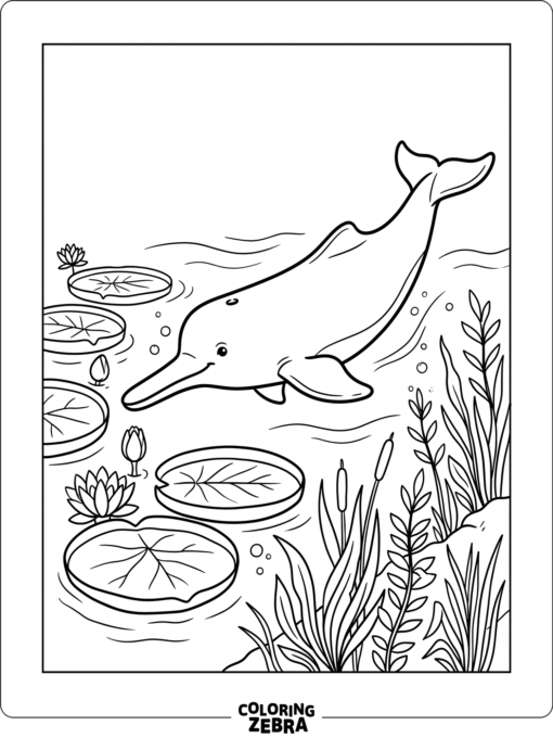 An Amazon river dolphin near lily pads