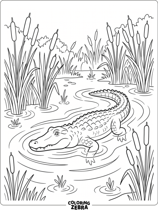 An American alligator swimming through a marsh