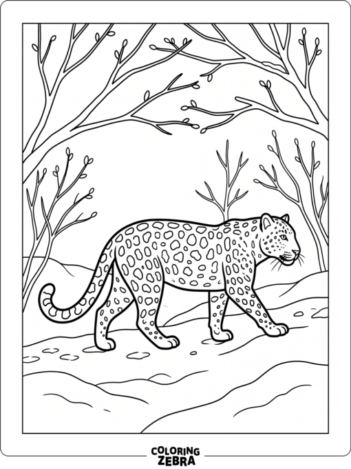 An Amur leopard walking across snowy ground