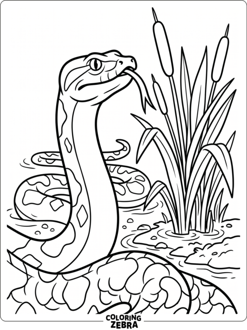 An anaconda raising its head with its tongue out