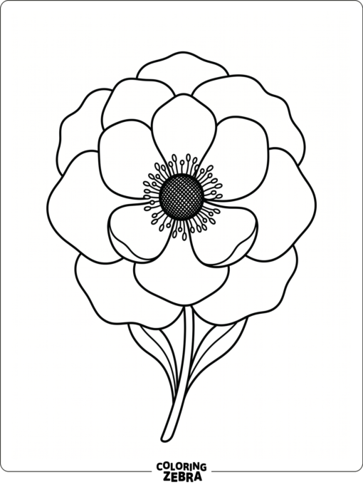 An anemone flower with layered petals and a round center