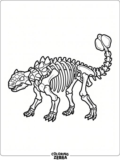 An ankylosaurus skeleton in side view