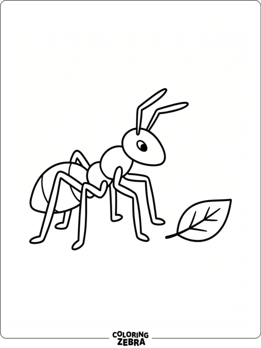 A single ant beside a leaf