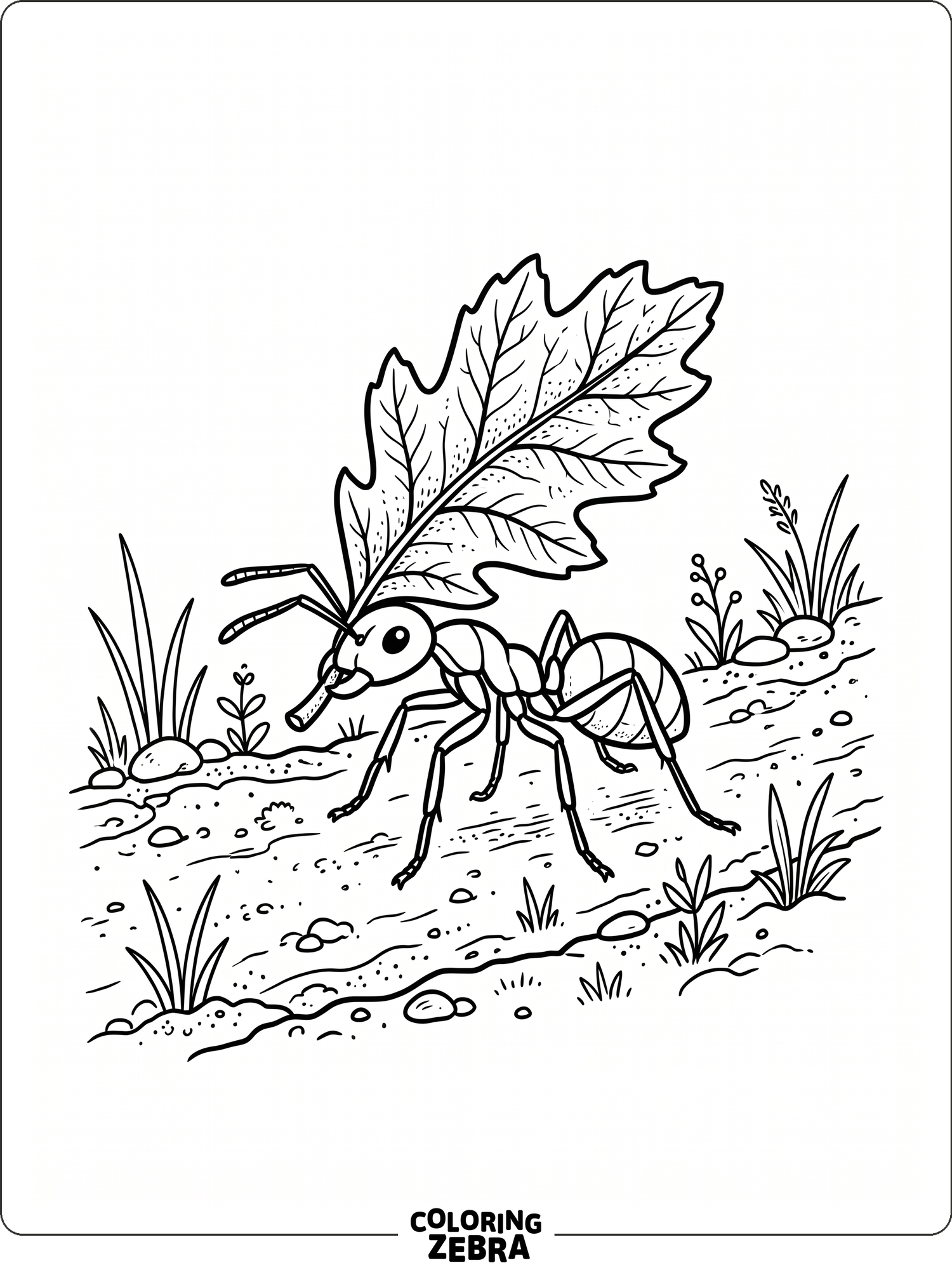 A small ant carrying a leaf across a plain path