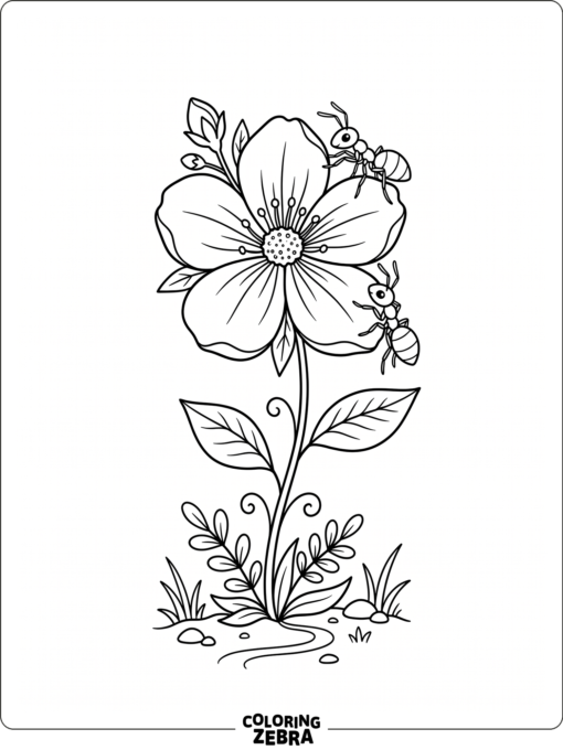 Two ants near a flower with open petals