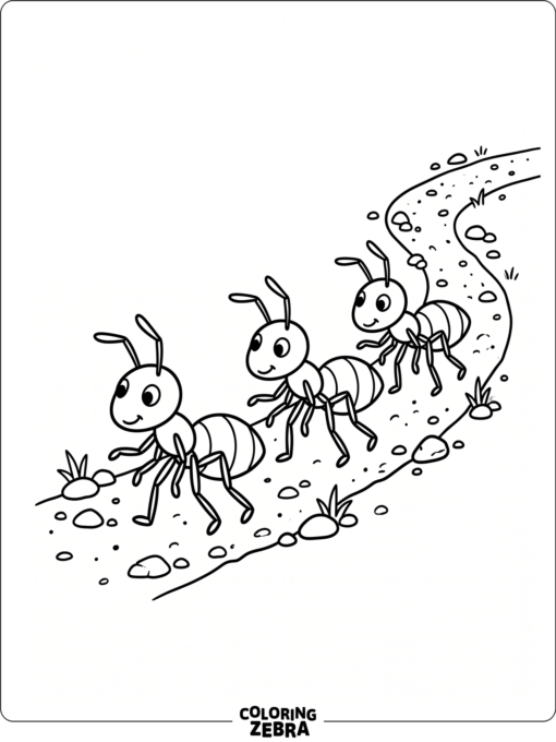 Three ants lined up on a path with stones