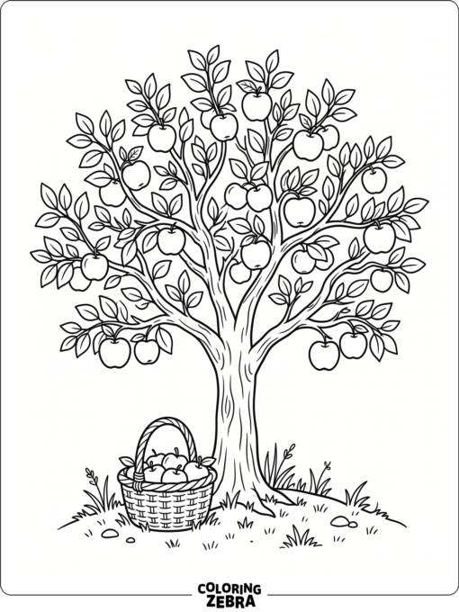 An apple tree with hanging fruit and a basket underneath