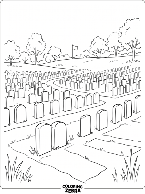 Rows of headstones in a quiet cemetery