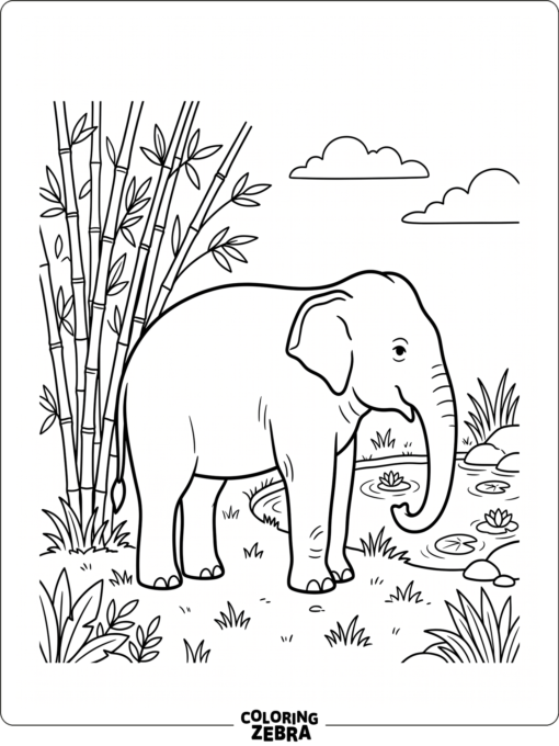 An Asian elephant near bamboo and water