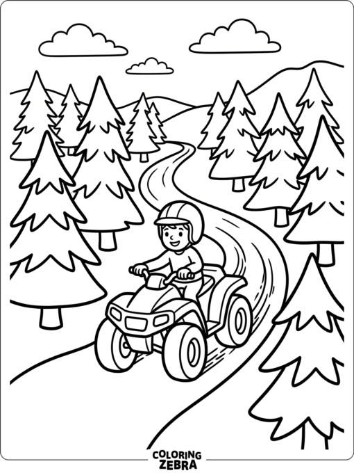 ATV on a Winding Forest Trail