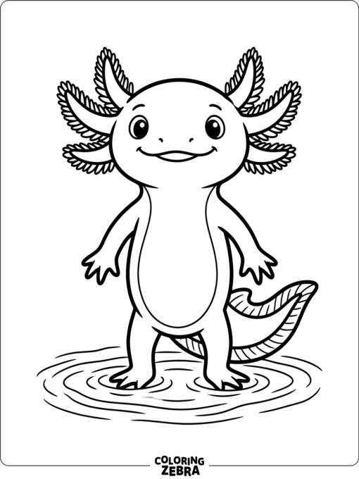 A simple axolotl standing in shallow water