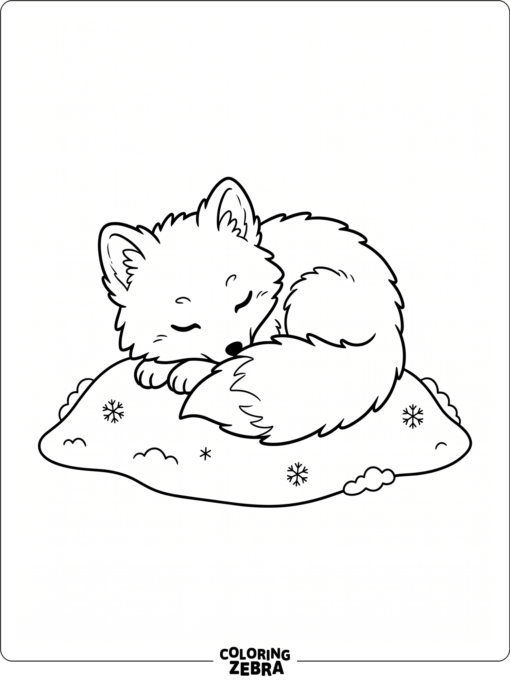 A baby arctic fox curls up on snow