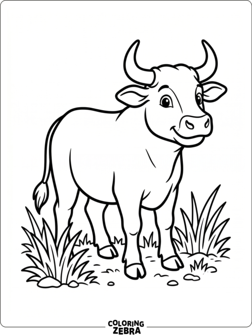 A baby bull calf with short horns and a small body