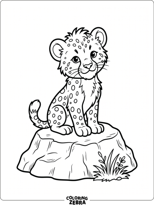 A baby cheetah sitting on a rock