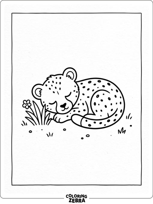 A baby cheetah curled beside a tuft of grass