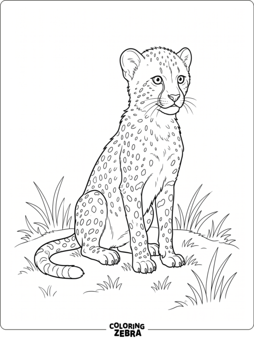 A realistic baby cheetah sitting in grass