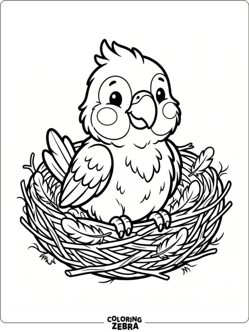 A baby parrot sitting in a nest