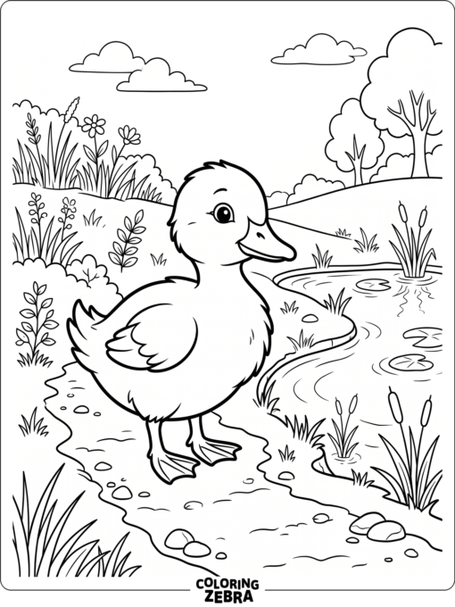A baby duck standing by a pond