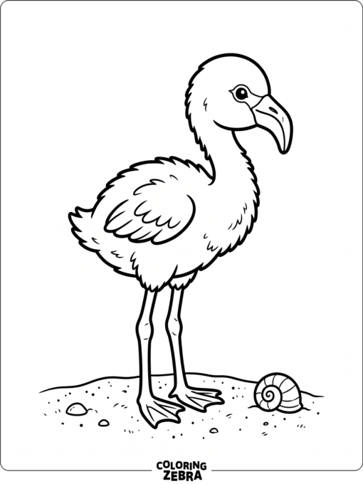 A baby flamingo beside a shell on the sand