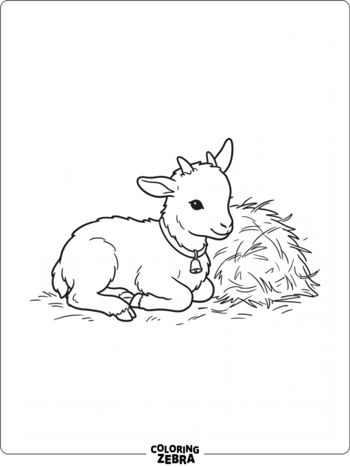 A baby goat resting near hay