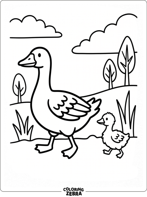 A baby goose following an adult goose