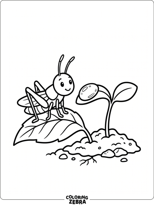 A baby grasshopper beside a sprout and dew drop