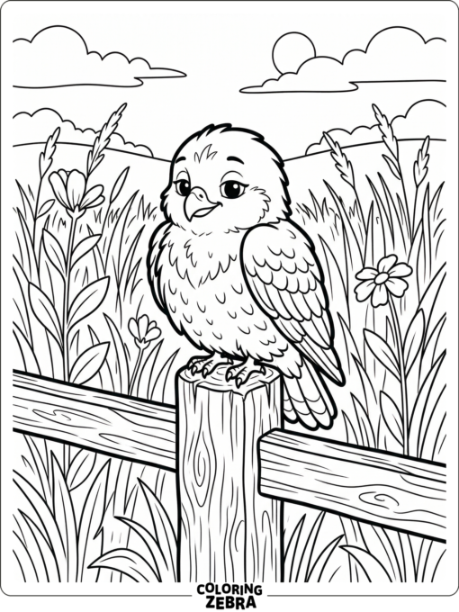 A hawk on a fence post with grass behind it