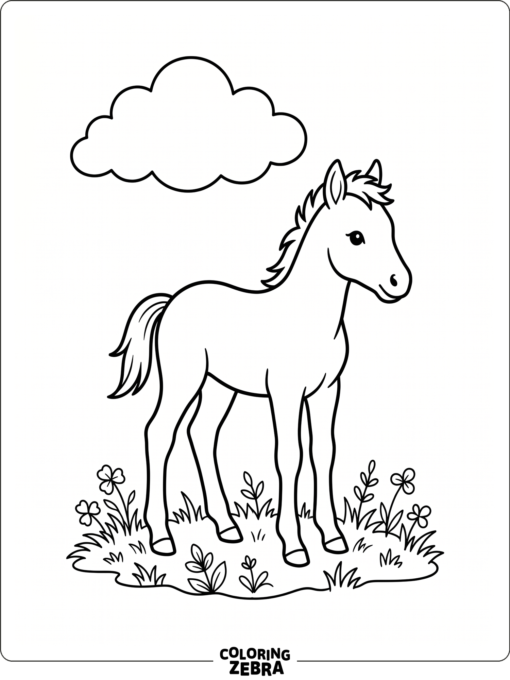 A baby horse standing on grass under a small cloud