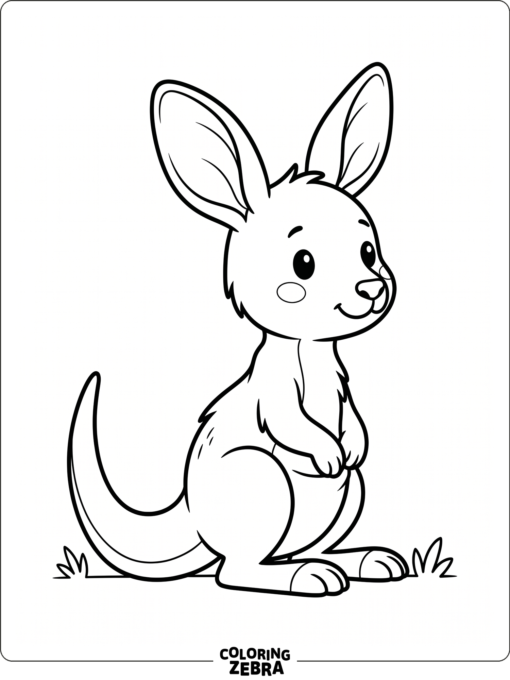 A small baby kangaroo sitting with large ears