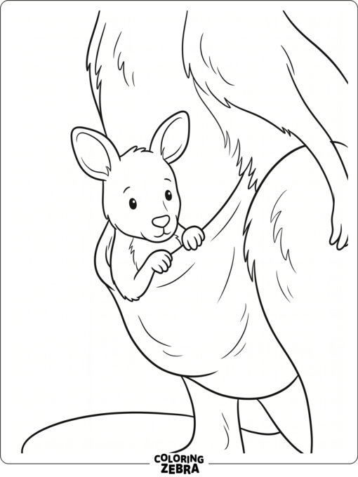 A baby kangaroo joey peeking out of a pouch