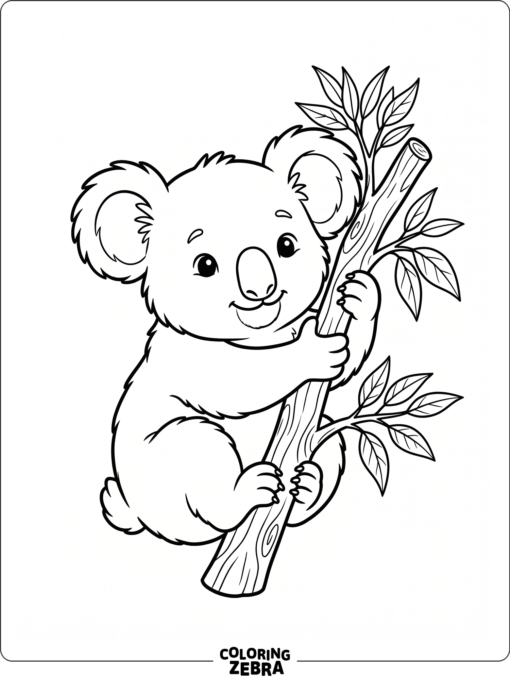 A baby koala hugging a branch