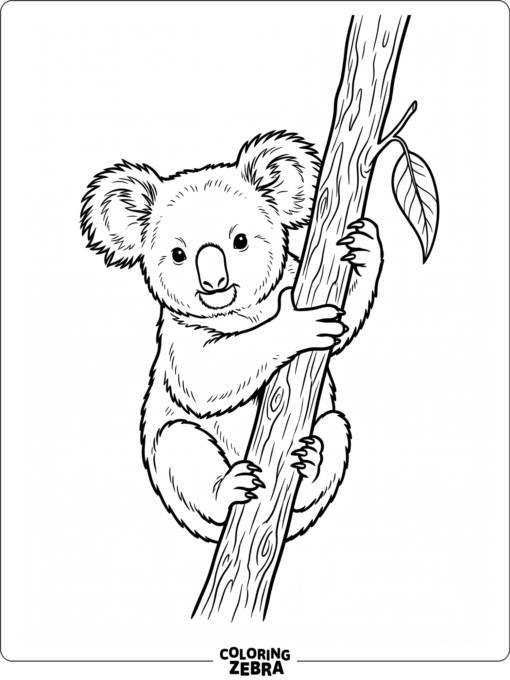 A baby koala clinging to a branch